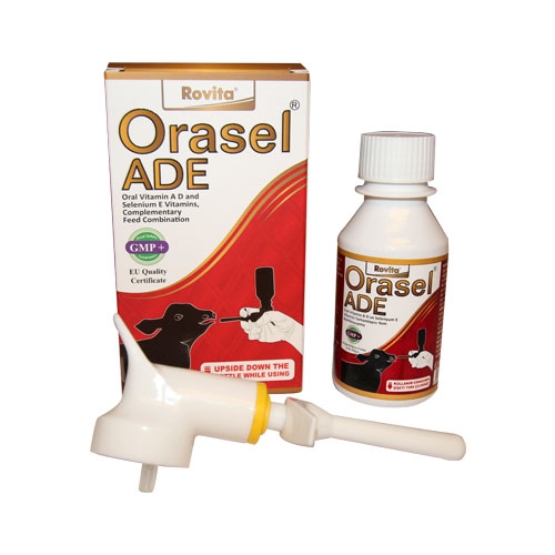 Royal%20Orasel%20ADE%20100%20ML%20Buzağı%20ADE%20Vitamini