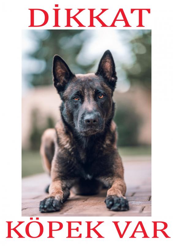 Dikkat%20Köpek%20Var%20Uyarı%20Levhası%20(Belçika%20Malinois)