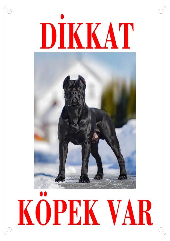 Dikkat%20Köpek%20Var%20Uyarı%20Levhası%20(Renkli%20Cane%20Corsa)