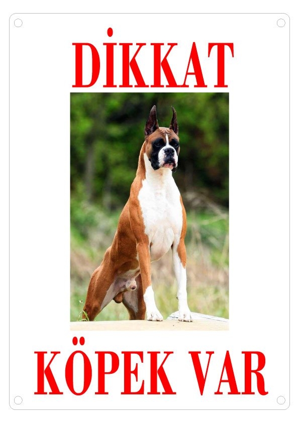 Dikkat%20Köpek%20Var%20Uyarı%20Levhası%20(Renkli%20Boxer)