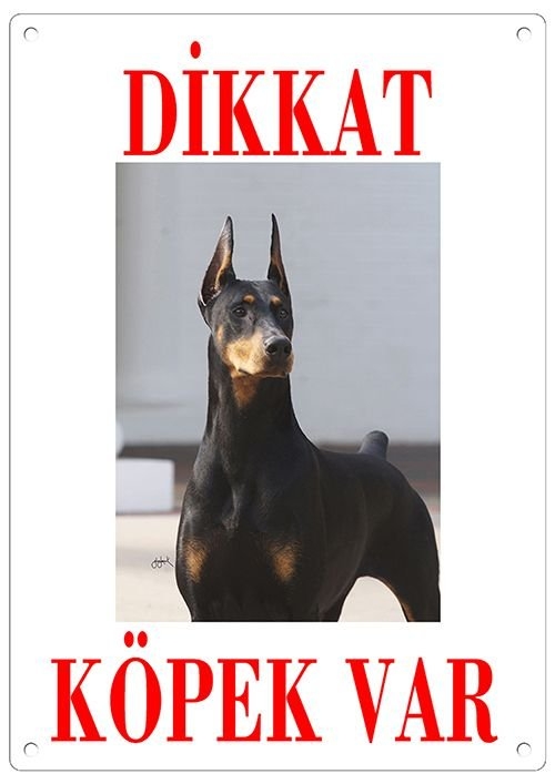 Dikkat%20Köpek%20Var%20Uyarı%20Levhası%20(Renkli%20Doberman)