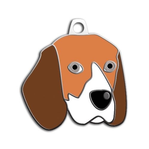 Beagle%20Köpek%20Künyesi