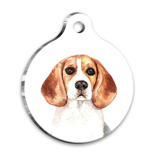 Suluboya%20Beagle%20Yuvarlak%20Köpek%20Künyesi