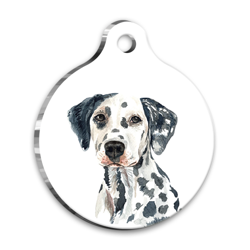 Suluboya%20Dalmatian%20Yuvarlak%20Köpek%20Künyesi