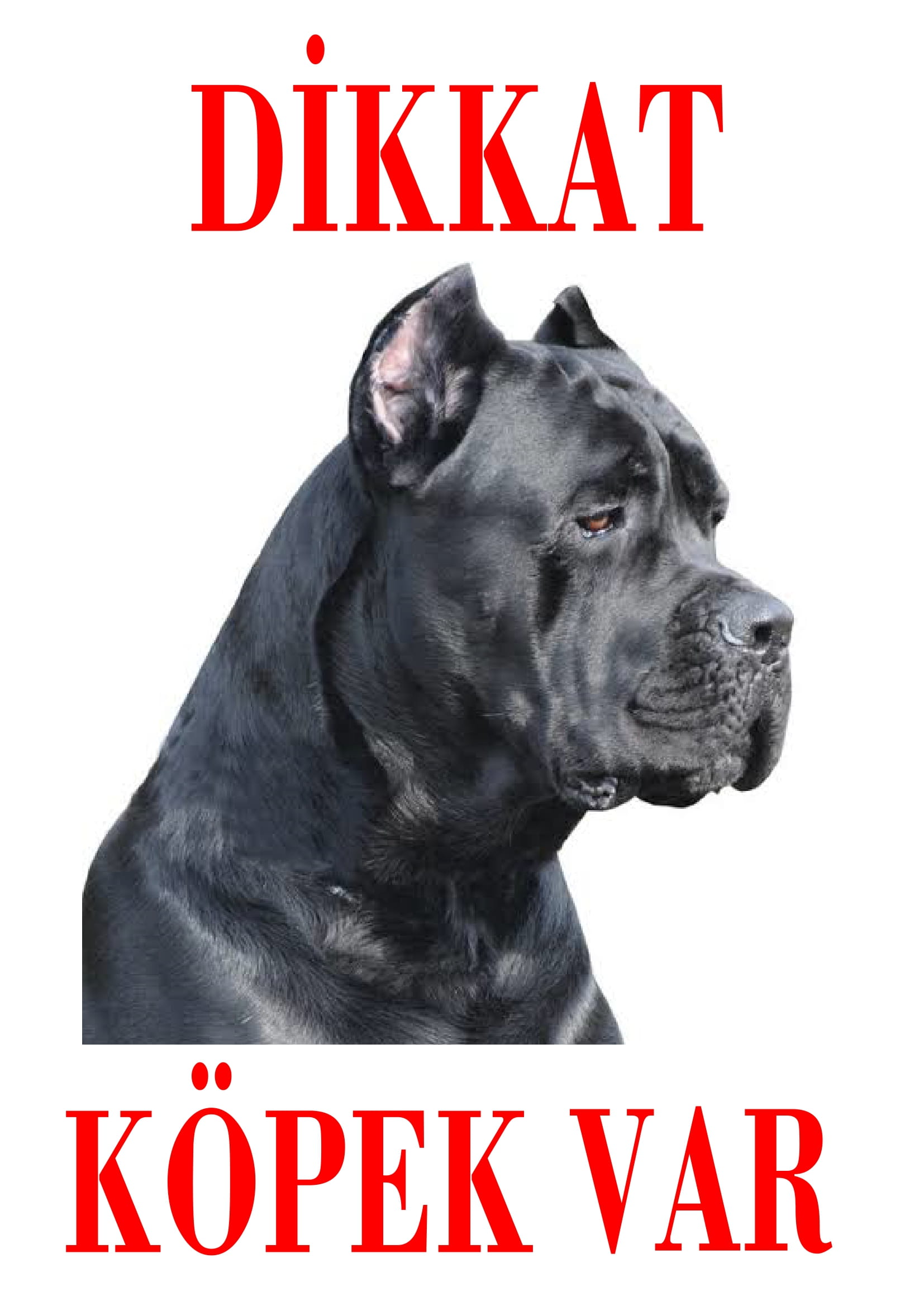 Dikkat%20Köpek%20Var%20Uyarı%20Levhası%20(Renkli%20Cane%20Corso-2)