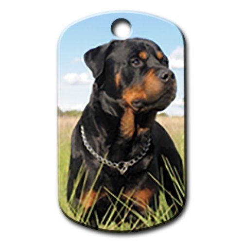 Rottweiler%20Resimli%20Köpek%20Künyesi