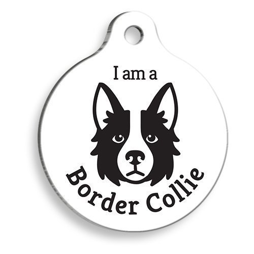 Beyaz%20Border%20Collie%20Yuvarlak%20Köpek%20Künyesi