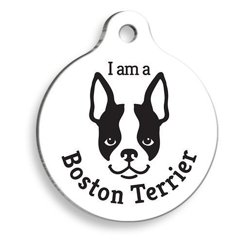 Beyaz%20Boston%20Terrier%20Yuvarlak%20Köpek%20Künyesi