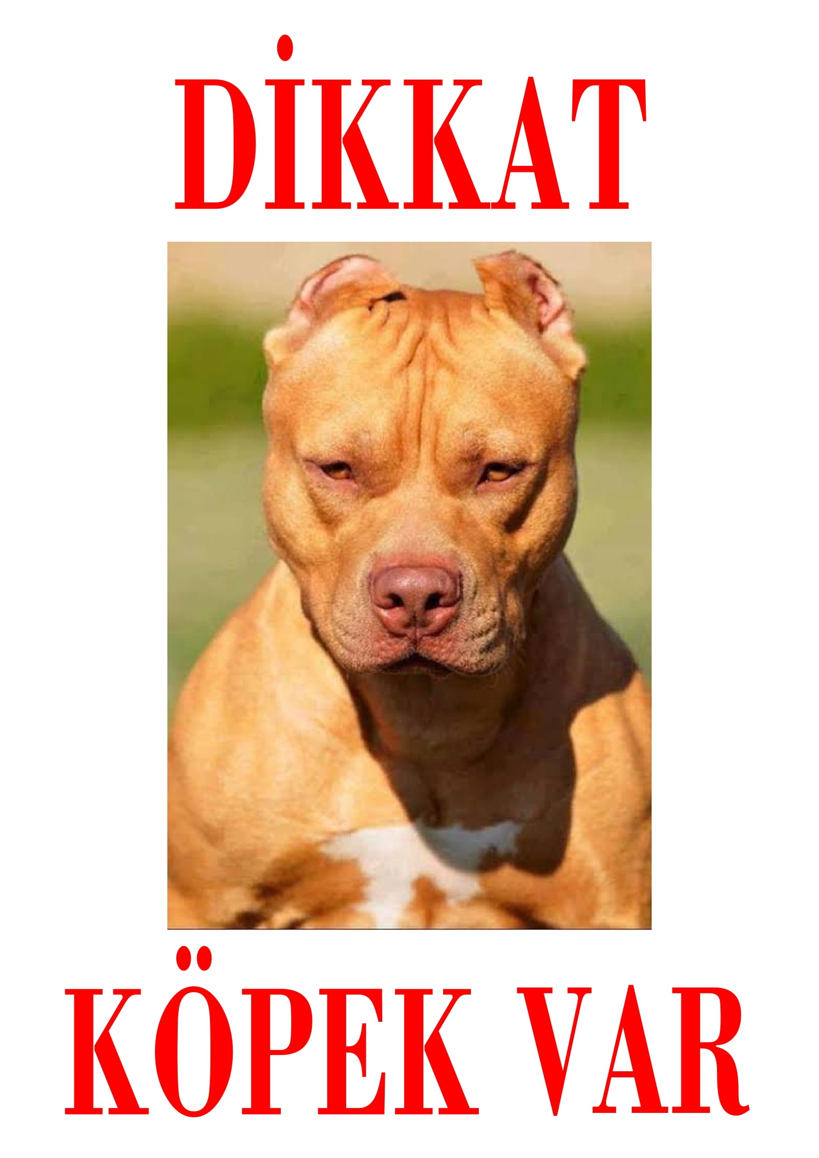 Dikkat%20Köpek%20Var%20Uyarı%20Levhası%20(Kahverengi%20Pitbull)