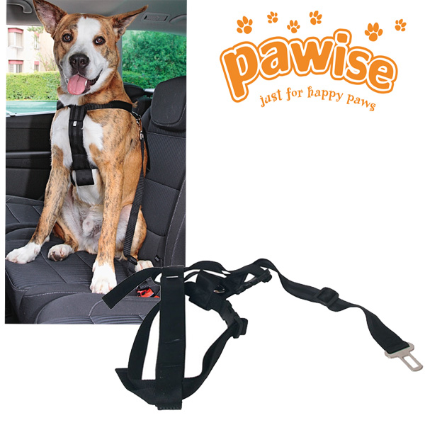 Pawise%20Emniyet%20Kemerli%20Köpek%20Tasması%20XL