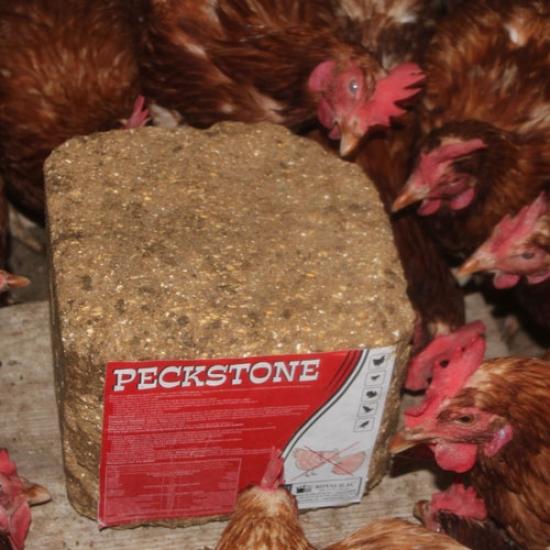 Royalilaç Avian PeckStone 10 Kg Kanatlı Hayvanlar İçin Gagalama Taşı