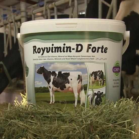 Royalilaç Royvimin D Forte 25 Kg Mayalı ve Biotinli Yem Katkıları