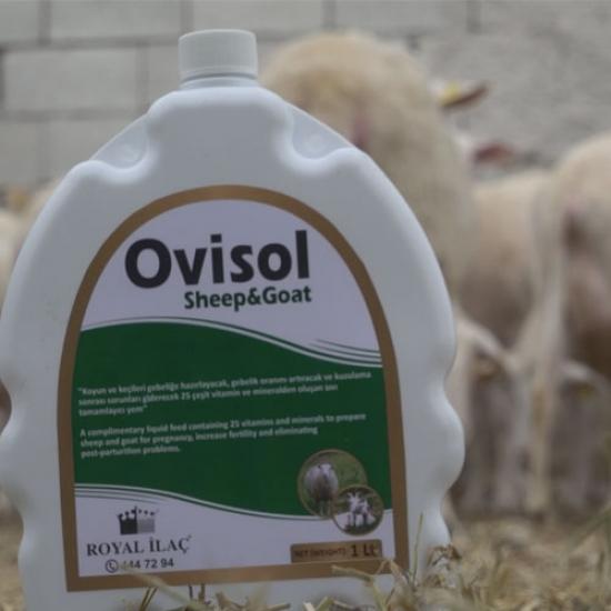 Royal Ovisol Sheep & Goat 1Lt Koyun, Kuzu, Keçi Sıvı Yem Katkı