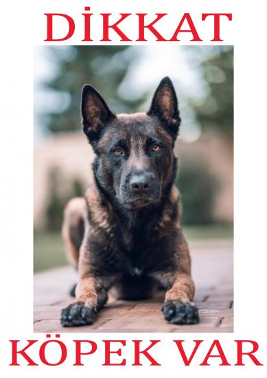 Dikkat Köpek Var Uyarı Levhası (Belçika Malinois)