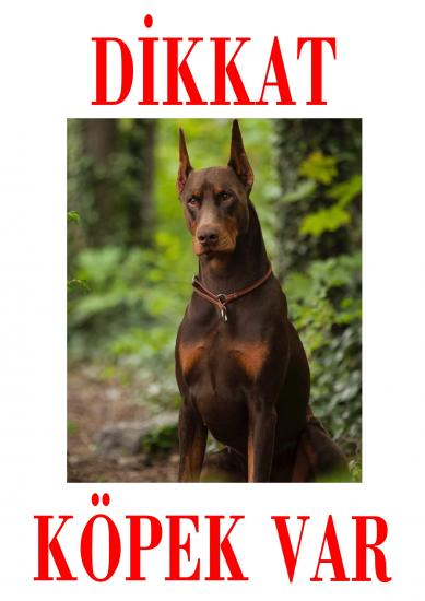 Dikkat Köpek Var Uyarı Levhası (Kızıl Doberman)