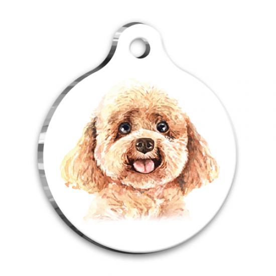 Suluboya Toy Poodle Yuvarlak Köpek Künyesi