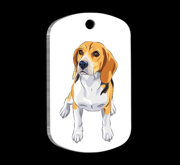 Beagle Breed Resimli Köpek Künyesi