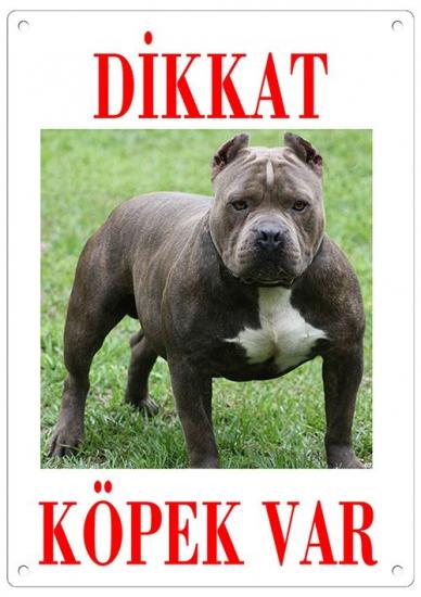 Dikkat Köpek Var Uyarı Levhası (Renkli Pitbull)