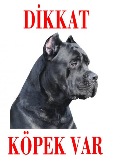 Dikkat Köpek Var Uyarı Levhası (Renkli Cane Corso-2)