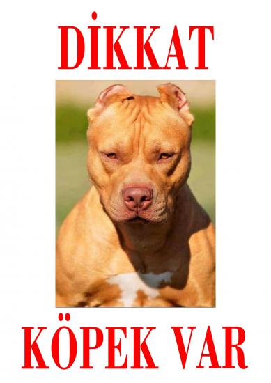 Dikkat Köpek Var Uyarı Levhası (Kahverengi Pitbull)